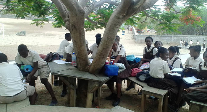 The shade of a tree has become the classroom for Grade 6 students at the Canouan primary school. (Photo: Facebook)