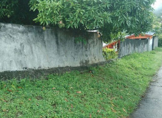 The area in Twenty Hill where the body of a man and a crashed car was found Tuesday night.