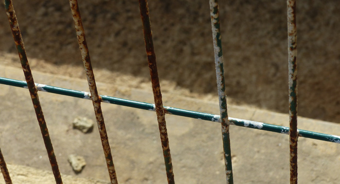 A close-up photograph of the rusting fence. (Photo: Patrick Ferrari) 