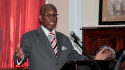 Deputy Prime Minister, Sir Louis Straker debates the Cybercrime Bill on Friday. (IWN photo)