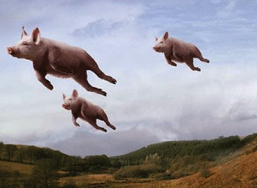 Pigs can fly but not to Argyle