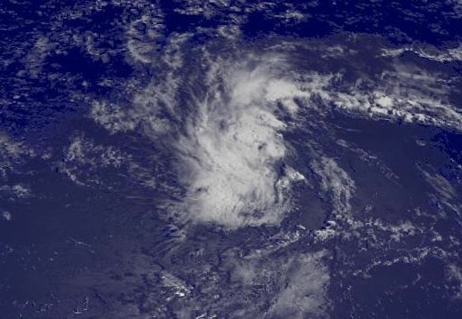 TROPICAL DEPRESSION