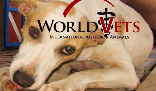 World Vets