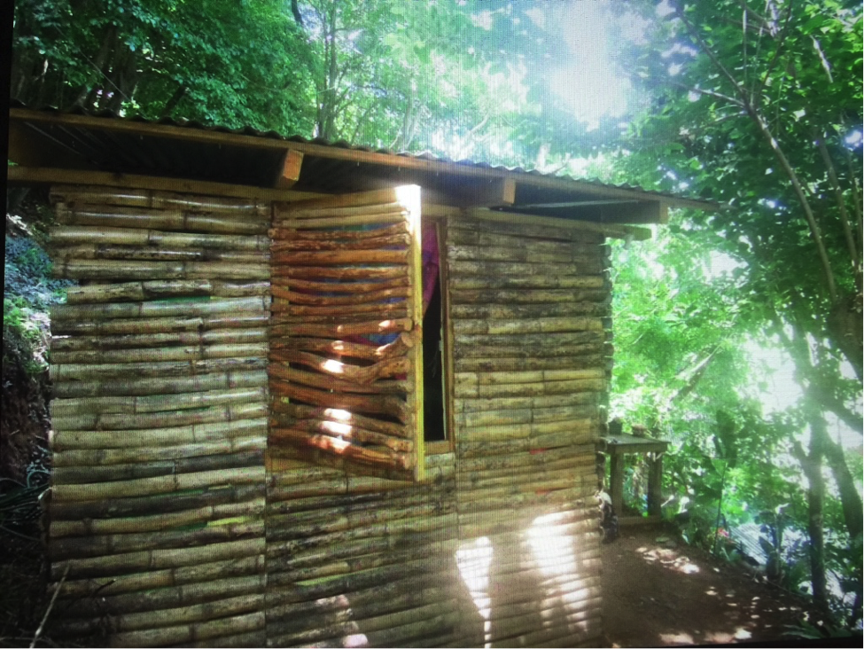 Bush Bar’s Irie Hut (Queensbury, Vermont) for those craving the natural life.