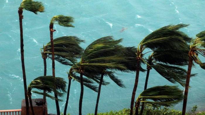 Wind brought by Hurricane Matthew blow palm trees on Paradise Island in Nassau, Bahamas, Thursday, Oct. 6, 2016. (Photo: Tim Aylen/AP)