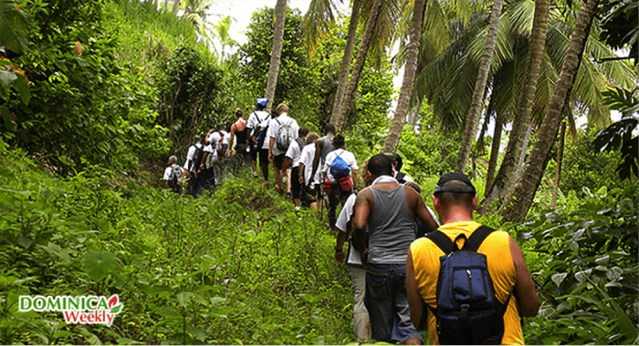 Group hiking in Dominica.