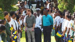 Prince Harry at the botanic gardens in Kingstown. (Photo: Ovid Burke/IWN)