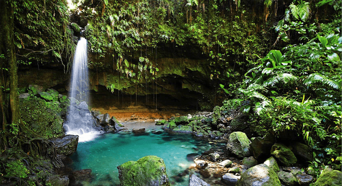 A small Dominican waterfall and swimming pool.