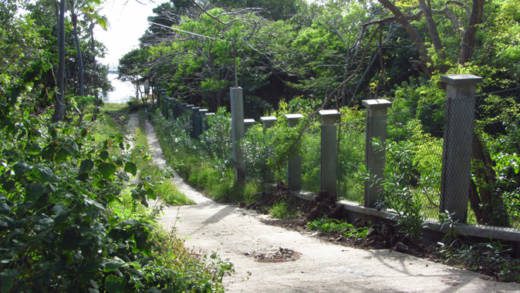 Bequia Wall 5