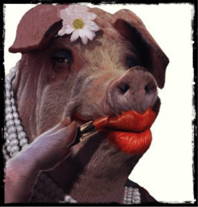 Pig in lipstick