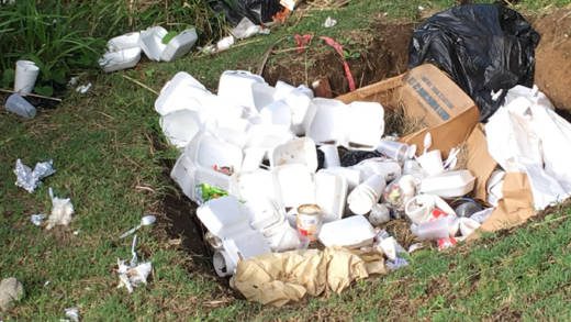 Styrofoam can pose an environmental as well as health risk. (iWN photo)