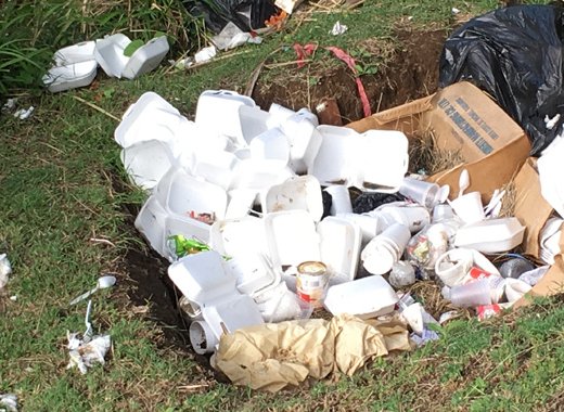 Styrofoam can pose an environmental as well as health risk. (iWN photo)