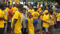 The NDP is challenging the results of the vote in Central Leeward. (iWN file photo)