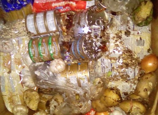 The woman was forced to toss away the box of imported food items because rats had eaten them. 