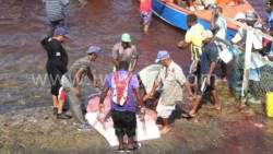 Whaling has been a part of Bequia's culture for almost 150 years. (iWN photo)