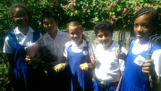 Windsor Primary