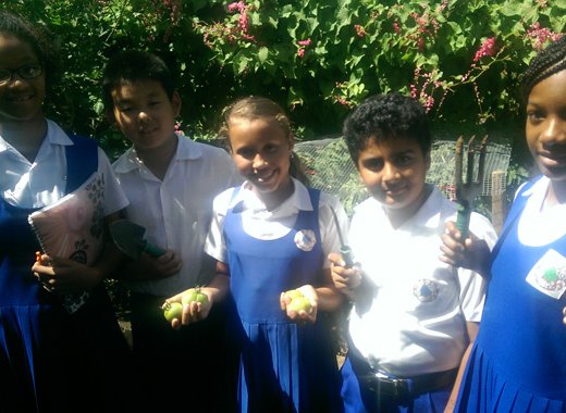 Windsor Primary