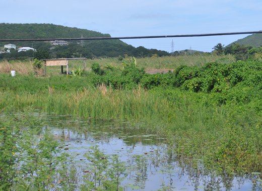 A manmade rainwater catchment on a farm in Antigua. Credit: Desmond Brown/IPS