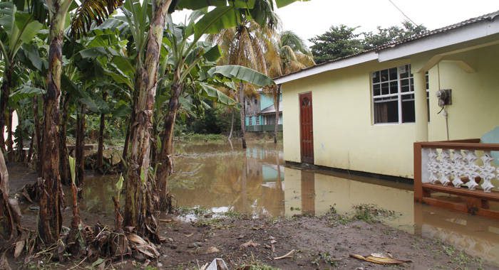 Flooding is a recurring problem in Buccament Bay. (iWN file photo)