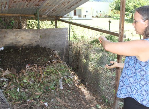 Director of Richmond Vale Academy in St. Vincent Stina Herberg explains how compost is produced using vegetation, cardboard, and animal droppings. Credit: Kenton X. Chance/IPS