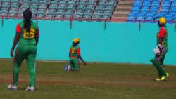 The Windwards have been brought to their knees. 