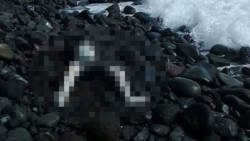 The body washed ashore in Sandy Bay on Tuesday. (Photo: Facebook)