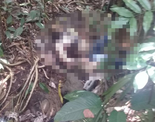 The scene in Yambou where the body was found.