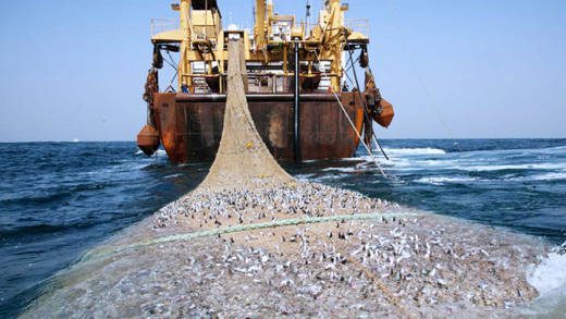 IUU fishing