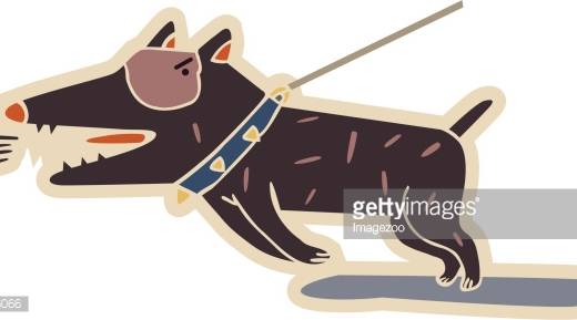 tight leash