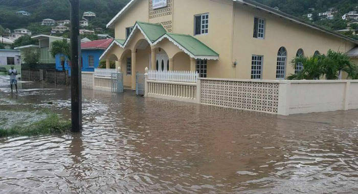 Bequia was among the areas worst affected by the storm. (Photo: Trinity Farrell)