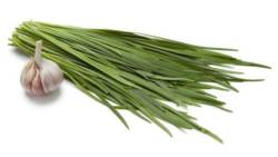 chives and garlic