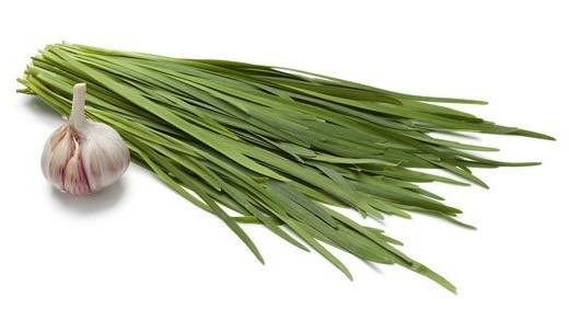 chives and garlic