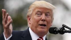 The lecture will examine the rise to power of politicians such as Donald Trump. (AP Photo/Alex Brandon, File)