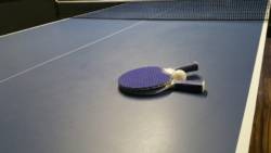 Table Tennis Generic