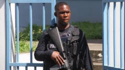 Police officer 2