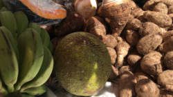A businessman says cold storage can control the supply and price of Vincentian agricultural produce on the regional market. (iWN photo)