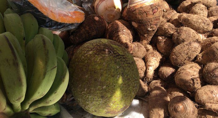 A businessman says cold storage can control the supply and price of Vincentian agricultural produce on the regional market. (iWN photo)
