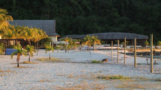 A stray dog, once a problem for managers of Buccament Bay Resort, roams freely on Buccament Bay on Dec. 12, 2017, two days to a year since the resort closed amidst a myriad of problems, including the non-payment of workers wages, and its electricity bill. Prime Minister Ralph Gonsalves said on Monday that he is expecting a heads of agreement to be signed this week. (iWN photo)
