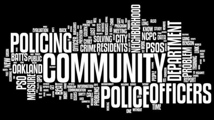 what is at the heart of community policing and problem solving quizlet