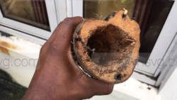 One of the hollowed out yam, in which Saville Keir of Fitz Hughes was attempting to send the marijuana to the Grenadines. (iWN photo)