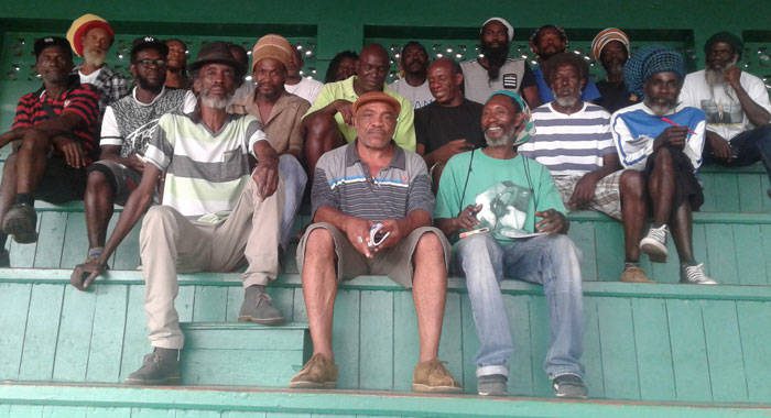 Persons at the St. Vincent and the Grenadines Cannabis Revival Committee meeting. Cottle is at front left.