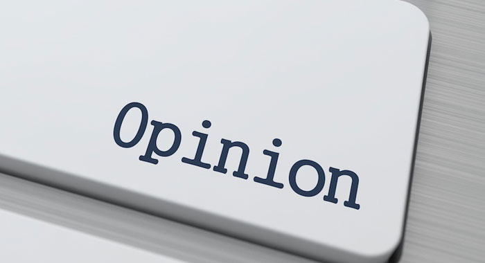 opinion