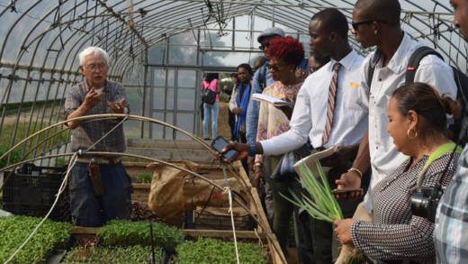 Caribbean Farmers in Japan