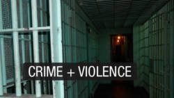 issues crime violence