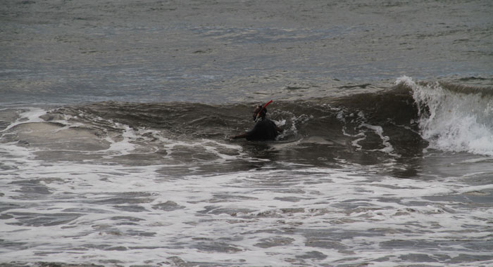 Civilian diver