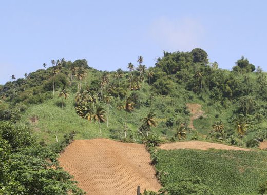 Farms near to where the rally took place in Greiggs on Sunday. (iWN photo)