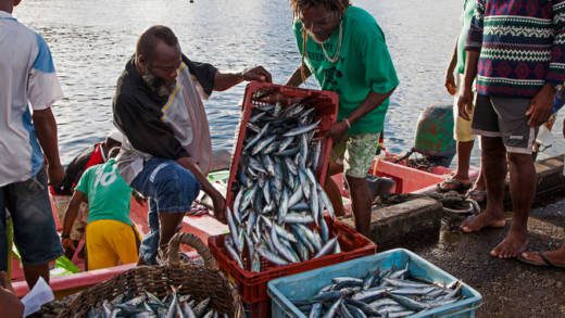 Fishers land a catch in St. Vincent. (iWN file photo)