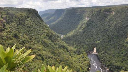 About 80 percent of Guyana’s forests, some 15 million hectares, have remained untouched over time. The country is making plans for a green economy while also looking to exploit its fossil fuel reserves. Credit: Desmond Brown/IPS
