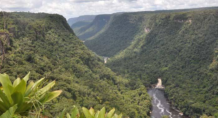 About 80 percent of Guyana’s forests, some 15 million hectares, have remained untouched over time. The country is making plans for a green economy while also looking to exploit its fossil fuel reserves. Credit: Desmond Brown/IPS