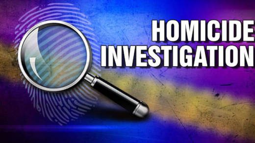 Homicide Investigation